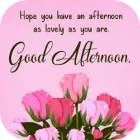 good afternoon greetings